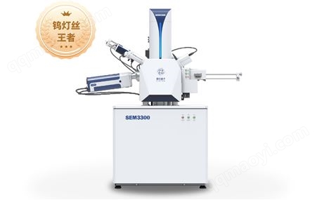 SEM3300国仪量子 SEM3300钨灯丝扫描电子显微镜