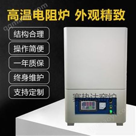多段編程溫度曲線升溫陶瓷纖維智能馬弗爐