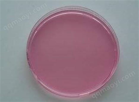 現貨大腸桿菌甘油保存